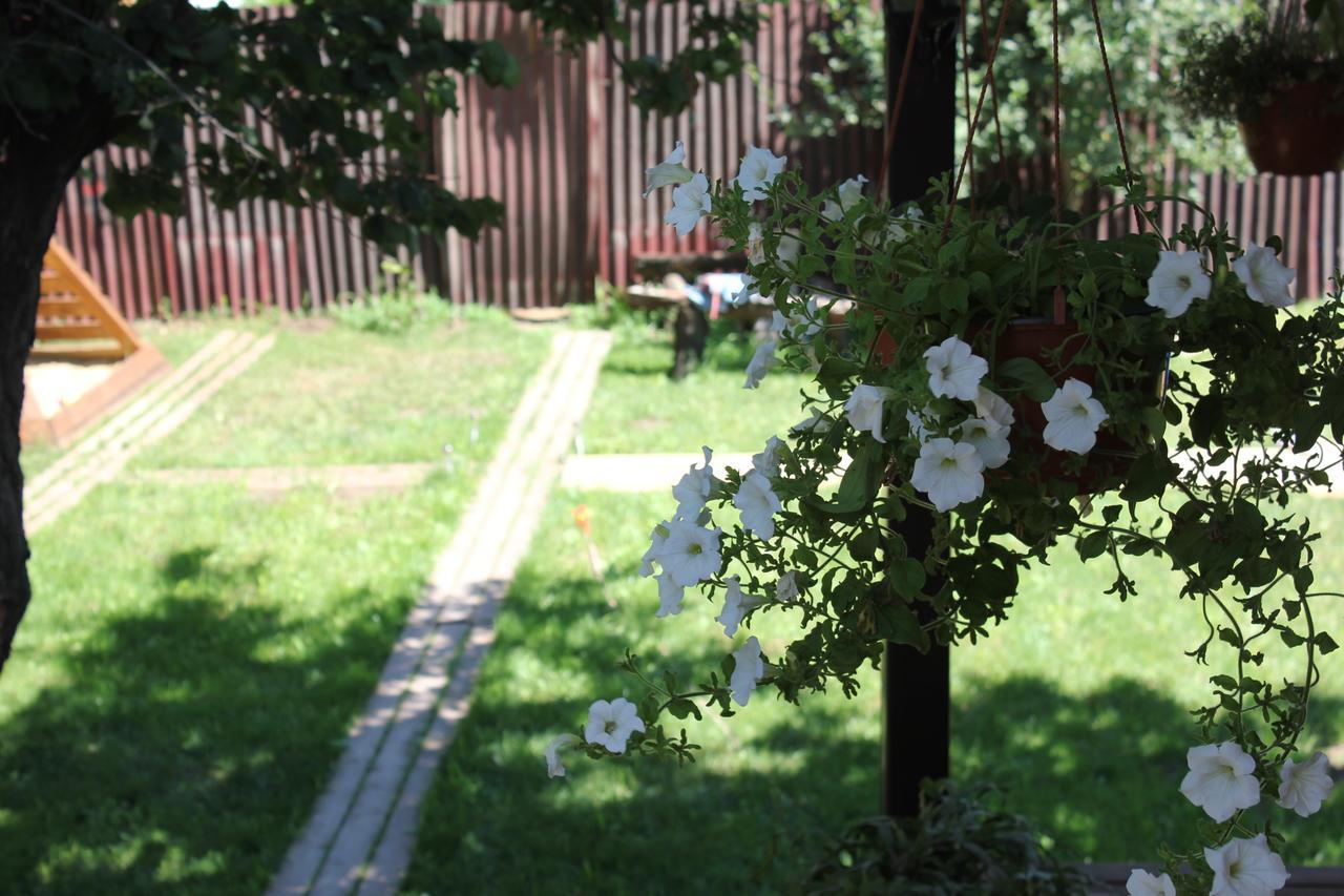 Mini Hotel On Zavodskaya Street Anapa Eksteriør bilde